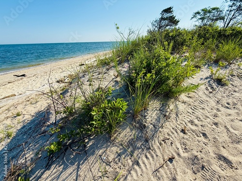 Bild auf Leinwand Short Beach, Smithtown Nissequogue, NY