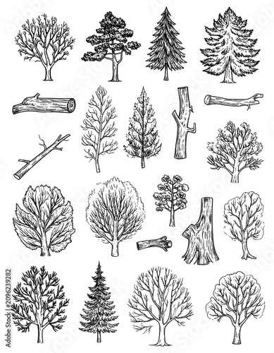 A collection of 20 black and white illustrations of trees and tree parts