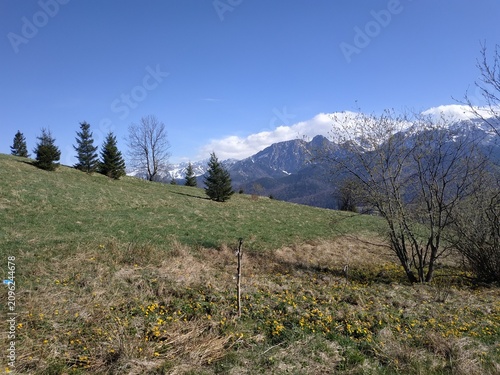 Scenic View of Zakopane and Tatra Mountains with Spring Landscape
