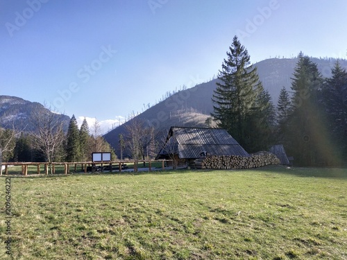 Rustic Wooden Cabin in Scenic Zakopane, Tatra Mountains Landscape