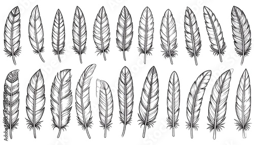 A collection of 20 detailed feather illustrations in two rows