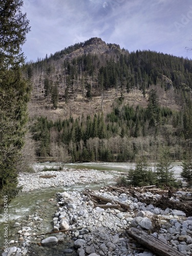 Scenic Mountain Landscape with River and Forest in Zakopane, Tatra Mountains