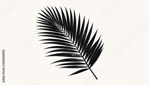 Fotografía Black silhouette of a palm leaf.