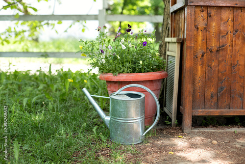 Εκτύπωση καμβά Metal watering can stands on green grass in a backyard garden