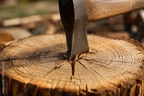 Axe blade embedded in center of round log, close-up impact point, outdoor light, wood grain detail.
