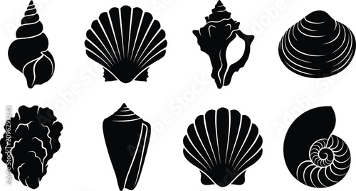 Photos Collection of black seashell silhouettes vector icons featuring conch scallop cl