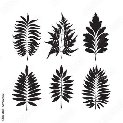 stylized fern leaf vector icon silhouette illustration on a white background