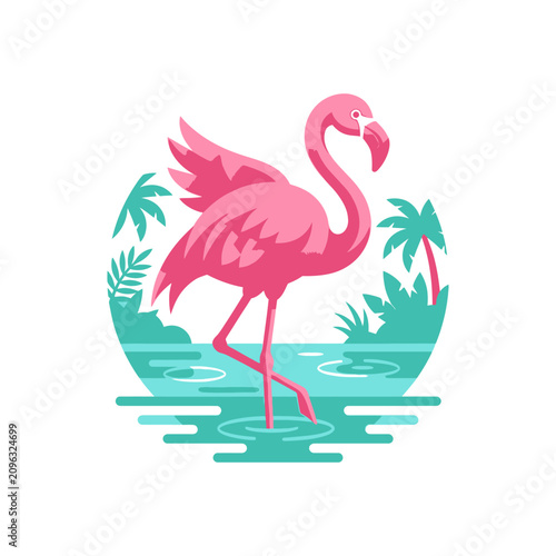 Foto Pink Flamingo Bird Standing Water.