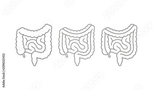 Detailed black and white line art illustration of human large intestine anatomy with three views for medical education