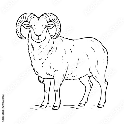 Ram Line Art Outline Sheep Illustration.Farm Animal Vector.