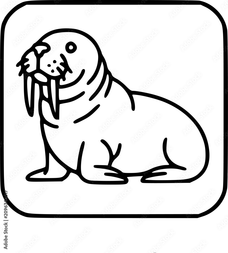 Fototapeta premium Walrus icon on white background - editable stroke vector illustration eps10 