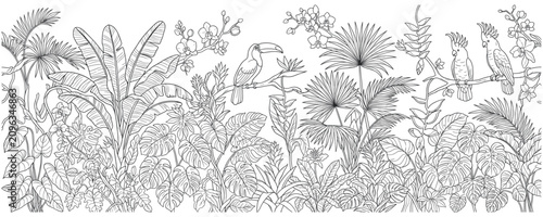 Fotografie Tropical jungle flora with toucan and parrots line art.