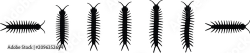 Φωτογραφία Black Centipede and Millipede Silhouette Vector Icon Set Featuring Creepy Crawly