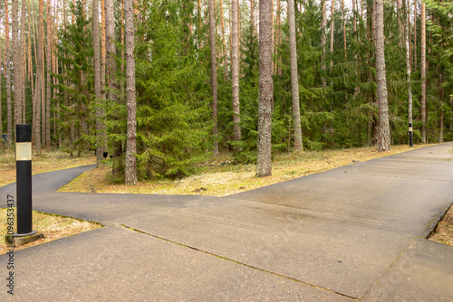 Forest pathway intersection symbolizing choice and decision making