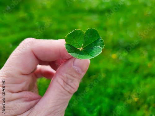 A hand holds a four-leaf clover on a green, sunlit lawn.