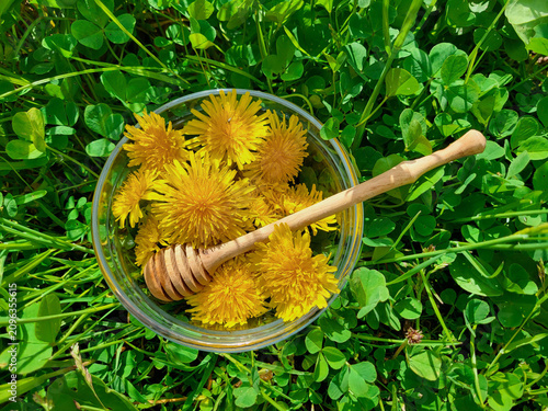 In a glass bowl, there is a wooden honey spoon and yellow dandelions in the green grass, with a bee crawling on them.