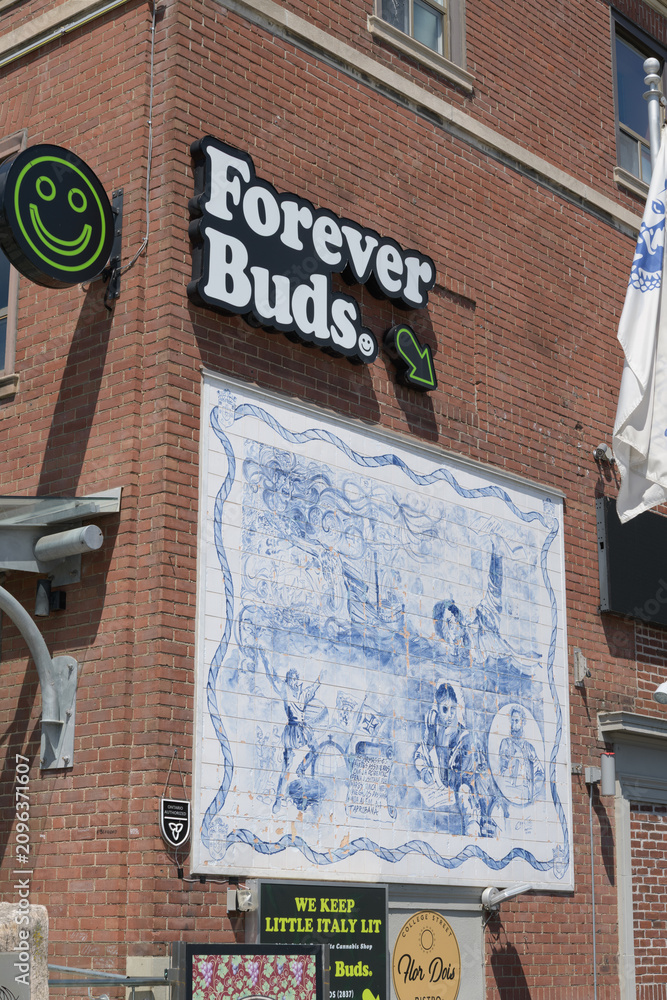 Obraz premium building exterior and sign of Forever Buds located at 722 College St, Toronto