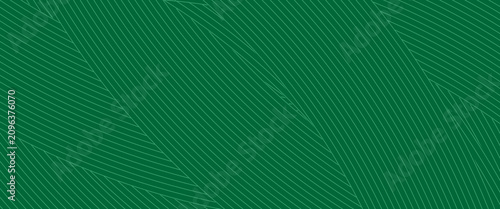 farm green banner organic abstract background with fields. wavy green lines natural organic products.vector modern.