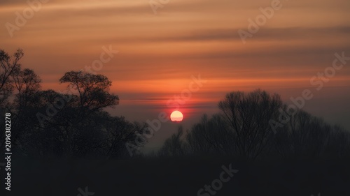 A fiery orange sun descends behind bare winter trees creating a peaceful serene landscape