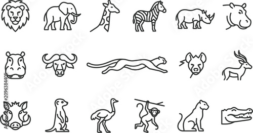 Photography Professional vector illustration set featuring various wild african animals desi