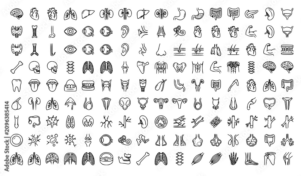 Fototapeta premium Human Anatomy Line Icons Collection Editable Stroke Vector EPS
