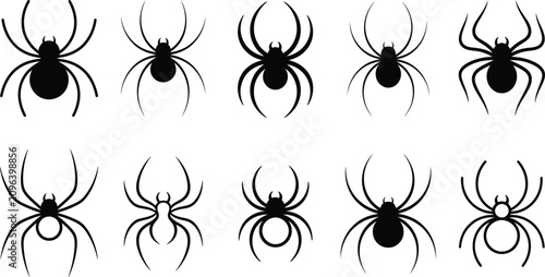 Schilderij op canvas Spider collection black widow orb weaver and tarantula silhouettes