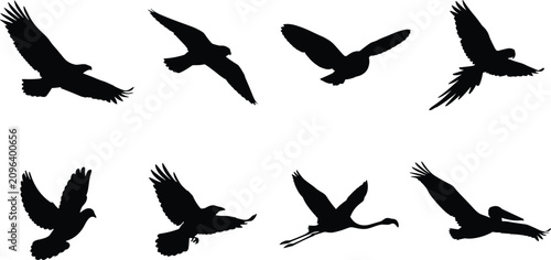 Flying Bird Silhouette Collection with Eagle Hawk Owl Parrot Dove Crane and Pelican Vector Set