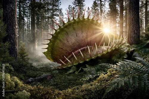 Obraz na płótnie Giant carnivorous Venus flytrap plant with sharp teeth in a misty, sunlit forest setting.