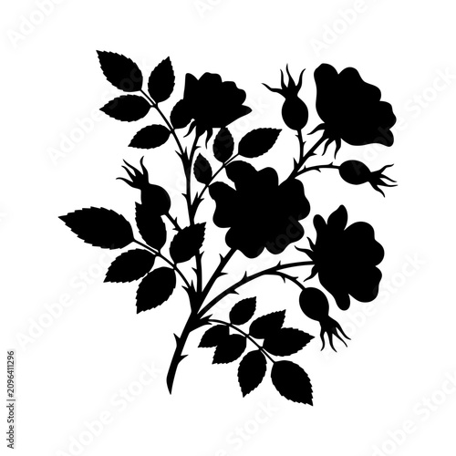 Branching rose bush with hips silhouette vector illustration