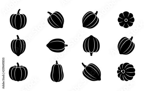 Canvastavla Vector Squash Icons Set, Autumn Harvest Vegetables Collection, Healthy Food Grap