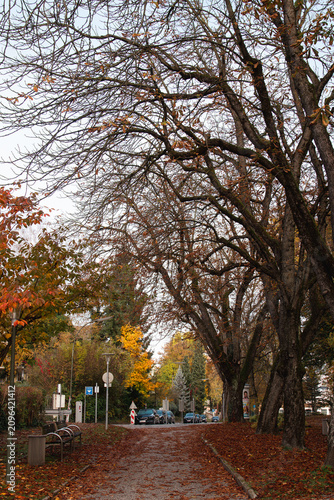 Romantic autumn day in Europe