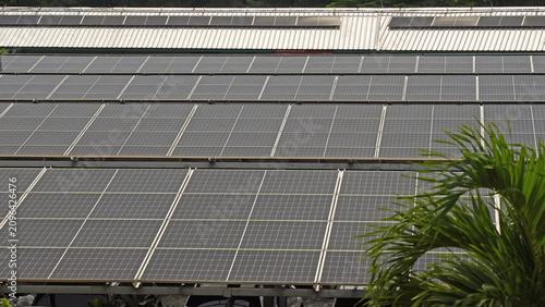 Foto Rows of solar panels align under a clear sky