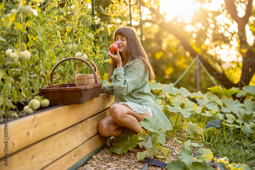 Woman Smelling Fresh Tomato in Raised Vegetable Garden