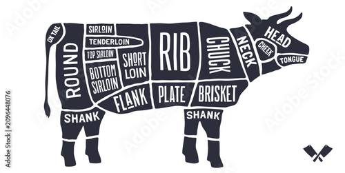 Cow, Beef, hand-drawn butcher cuts meat guide. Vintage butcher beef chart cow silhouette scheme, beef cuts chart butcher shop poster diagram, meat guide beef cuts chart. Vector illustration