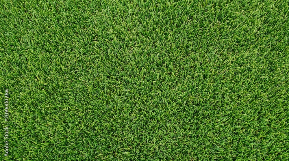 Fototapeta premium Dense Green Artificial Grass Texture with Short Uniform Turf Fibers, Seamless Synthetic Lawn Background for Soccer Field, Sports Ground, Garden, Playground, Landscaping, Wallpaper and Mockups