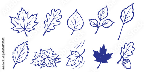 autumn leaf collection and hand drawn fall maple oak birch foliage branch pile wind blowing silhouette acorn doodle icon set vector illustration