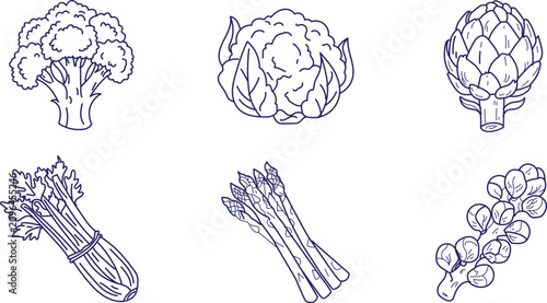Foto Collection of fresh vegetable doodles showcasing broccoli cauliflower artichoke celery asparagus and brussels sprouts in hand drawn line art style for healthy food cooking or culinary projects