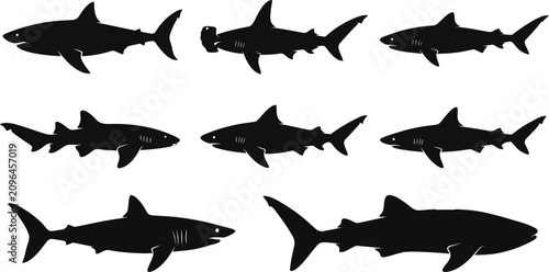 Photography Black shark silhouettes, ocean predator icons, marine life illustrations, 10 vec