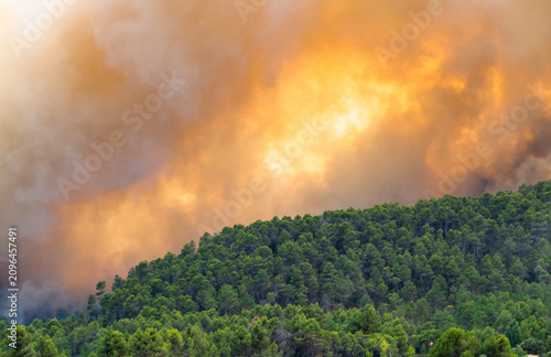 Raging wildfire consuming dry Mediterranean woodland during a severe Spanish heatwave