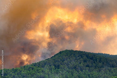 Massive wildfire in Aragon region, Spain, climate change disaster