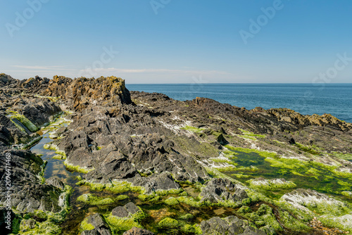 Schilderij op canvas Rocky Irish Sea Coastline of Peel in the Isle of ManShowing Salty Rockpools and