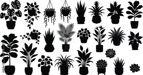 Set of black houseplant silhouettes in pots featuring monstera palm and succulents for botanical design and interior decor