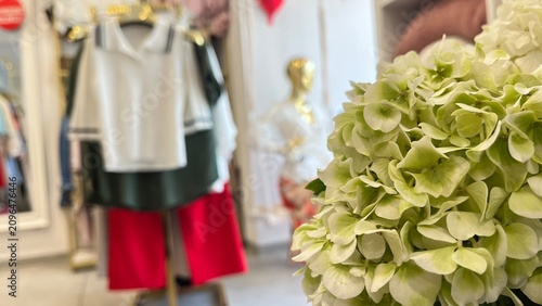  Elegant Boutique Interior with Hydrangea Flower
