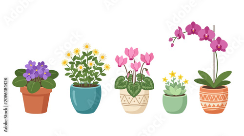 Foto Potted Flowers And Succulents Flat Vector Illustration On White Background