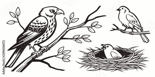 Canvastavla Black and white birds perched on bare branches nature