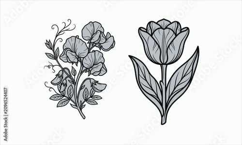 Modern floral vector illustration collection featuring elegant flowers, leaves, and botanical elements. Perfect for logo design, branding, invitations, wedding stationery, packaging, textile prints