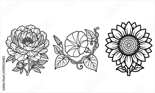 Modern floral vector illustration collection featuring elegant flowers, leaves, and botanical elements. Perfect for logo design, branding, invitations, wedding stationery, packaging, textile prints