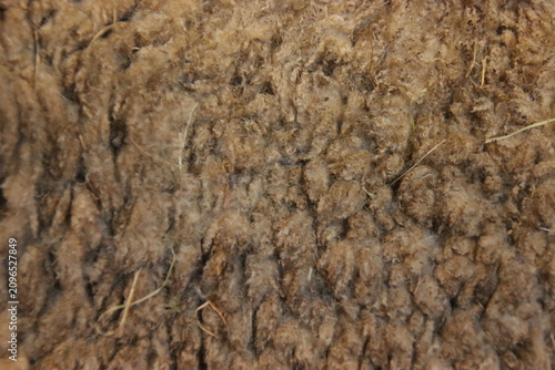 Close up of Sheep's Wool