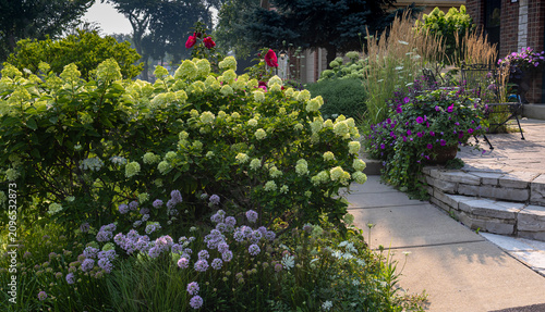 Sunlit summer garden with Little Lime hydrangeas, Limelight hydrangeas, Millennium alliums, roses and ornamental grasses beside a welcoming stone patio.