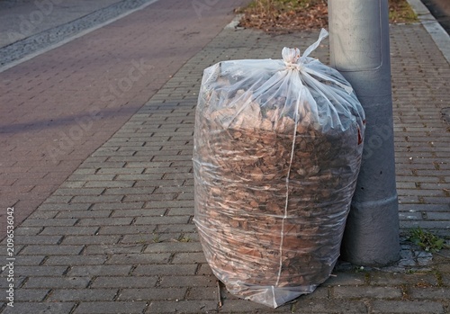 a plastic bag filled with leaves from the garden, which is picked up by the city's garbage collection service